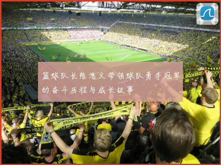 篮球队长陈浩文带领球队勇夺冠军的奋斗历程与成长故事