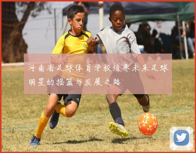 河南省足球体育学校培养未来足球明星的摇篮与发展之路