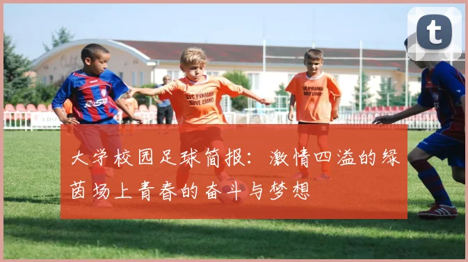 大学校园足球简报：激情四溢的绿茵场上青春的奋斗与梦想