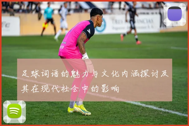 足球词语的魅力与文化内涵探讨及其在现代社会中的影响