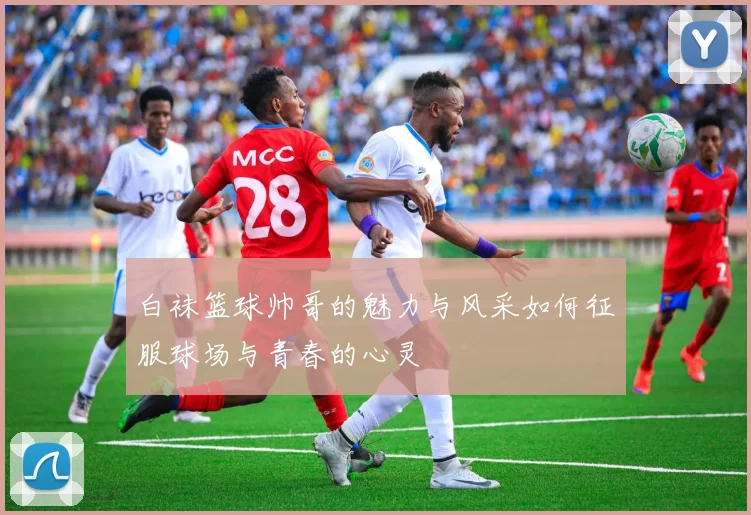 白袜篮球帅哥的魅力与风采如何征服球场与青春的心灵